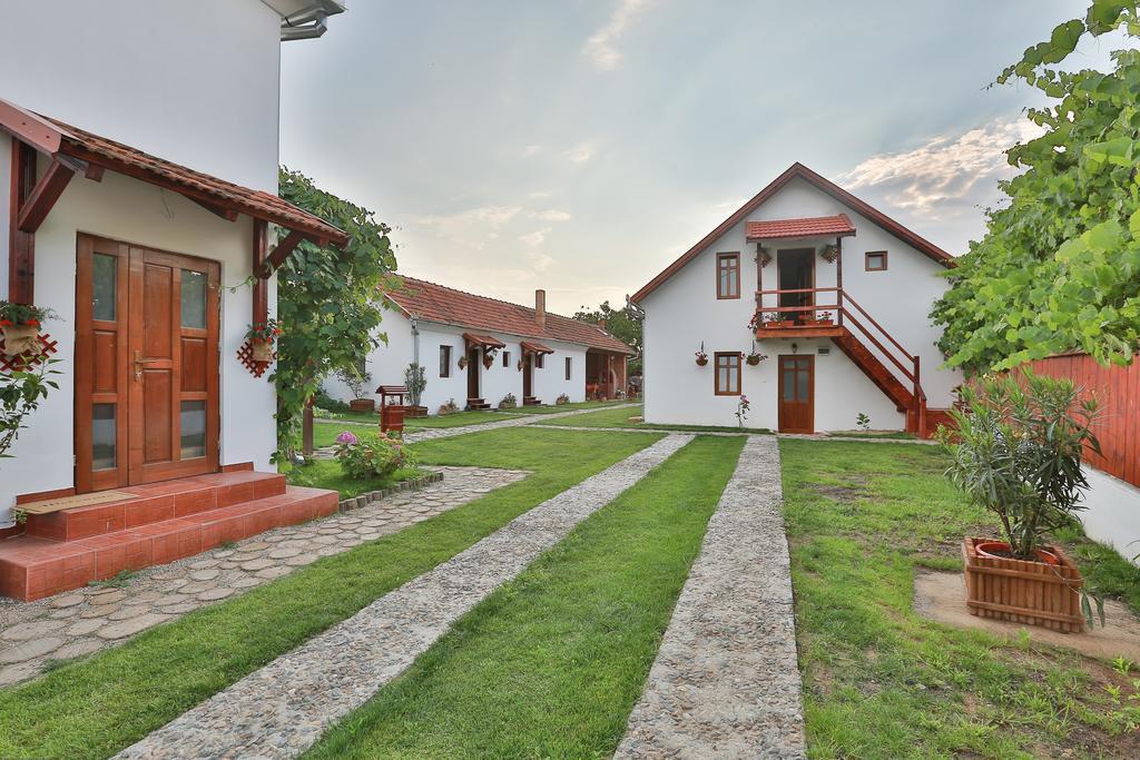 Pensiunea Casa Canda Salasu de Sus エクステリア 写真